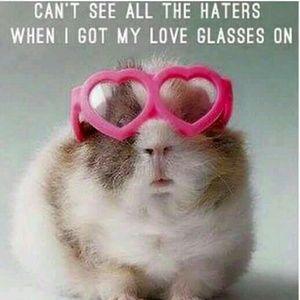 Meet your Posher, Polly